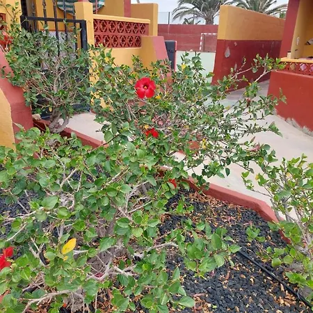 Apartment La Paloma Buena Esperanza